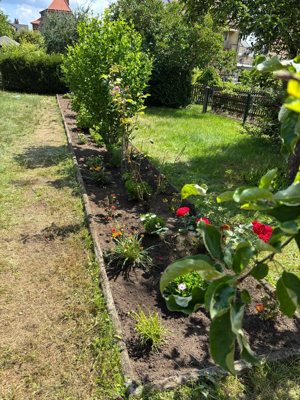 Nachher: Beet vor und nach der Pflege
