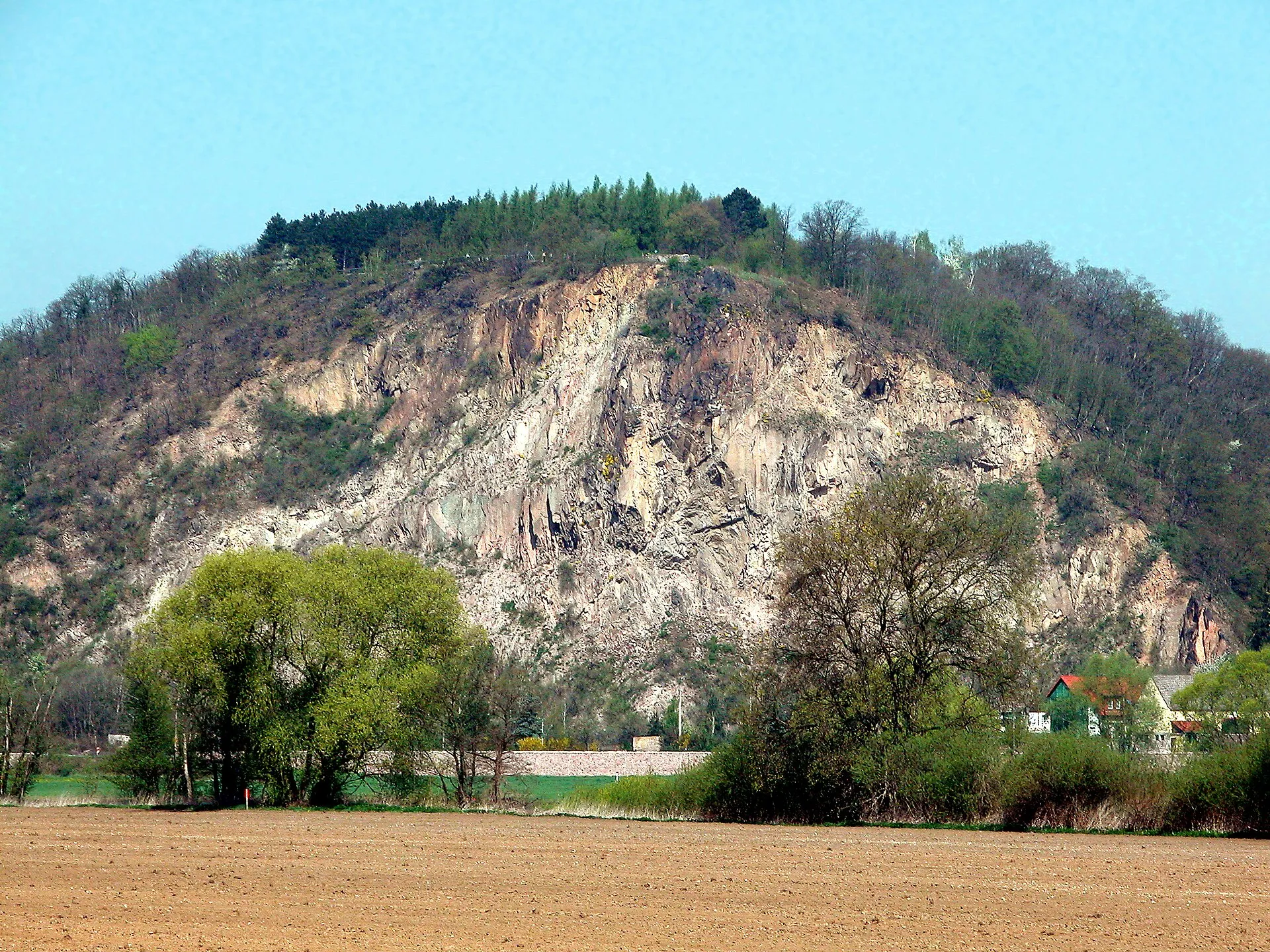 Coswig — Einsatzgebiet von ODRICH Außenanlagen-Service