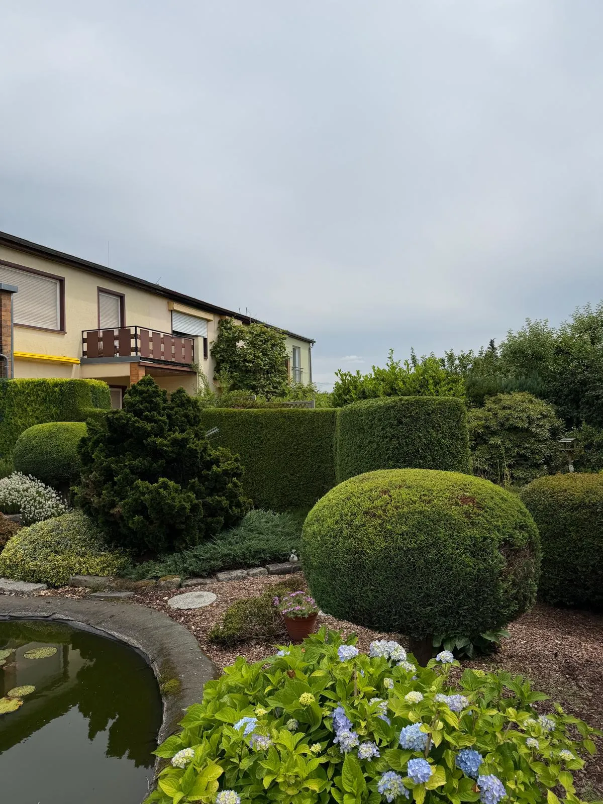 Angelegter Garten mit Formschnitt-Gehölzen, Hortensien und Teich