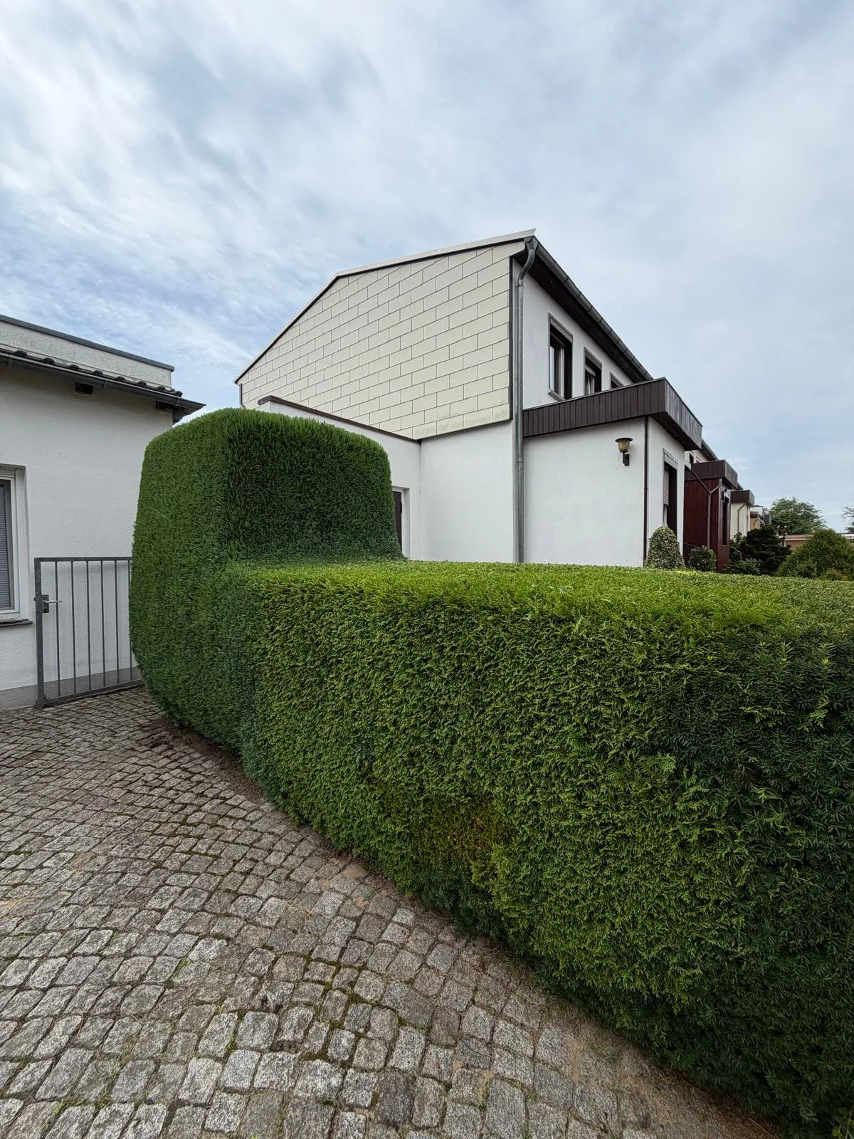 Geschnittene Hecke entlang einer gepflasterten Einfahrt